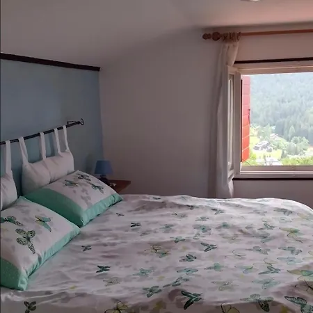 Apartment Nido Del Falco Pieve di Cadore