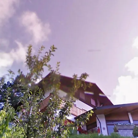 Nido Del Falco Apartment Pieve di Cadore